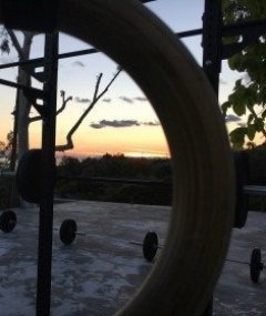Crossfit Rings Sunset
