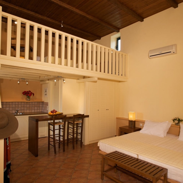 Junior Apartment Main Floor