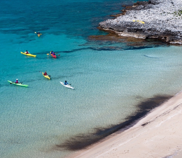Kardamili Activities Kayak - Beach